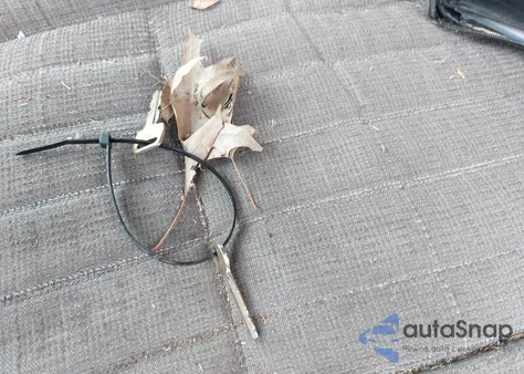 1989 Ford Bronco U100 из США, поврежденный, VIN 1FMEU15N6KLA87713